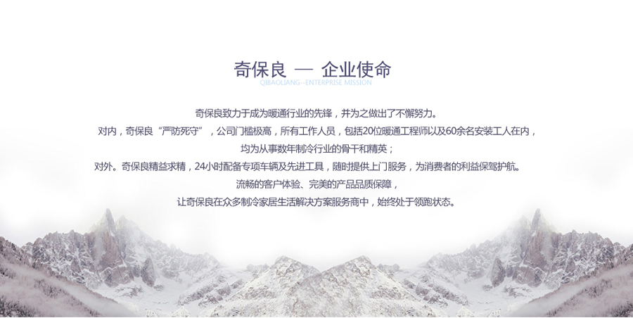 奇保良公司的企業使命